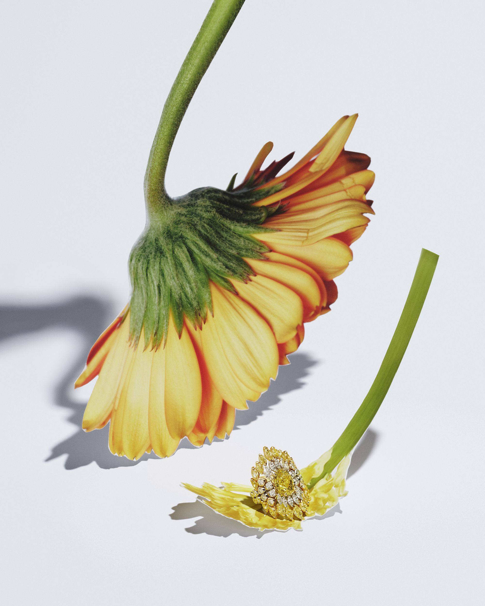 ELLE JEWELLERY MAGAZINE-#4